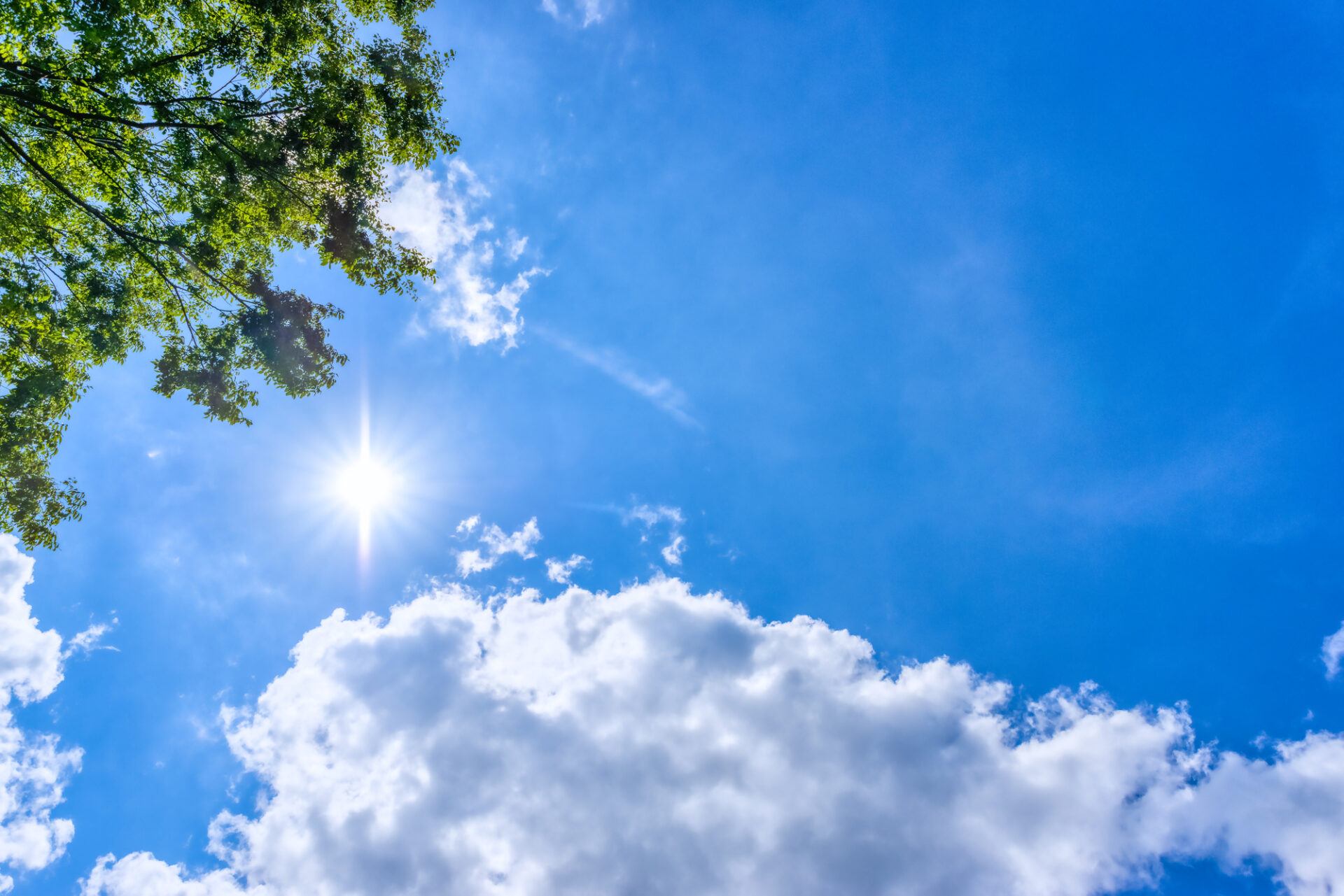 pixta_79731964_M